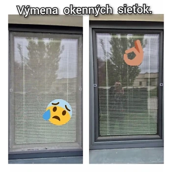 výmena sieťky